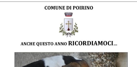 Poirino botti