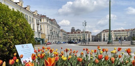 Pralormo Cuneo tulipano