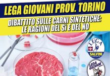 Dibattito carni sintetiche