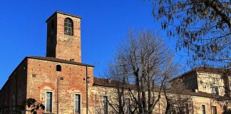 manager distretto commercio carmagnola