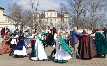 Carlevè Ranè Villastellone