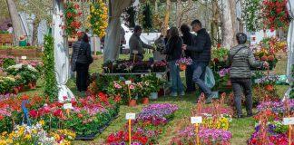 ortoflora e natura 2023 carmagnola programma sabato 1 domenica 2 aprile