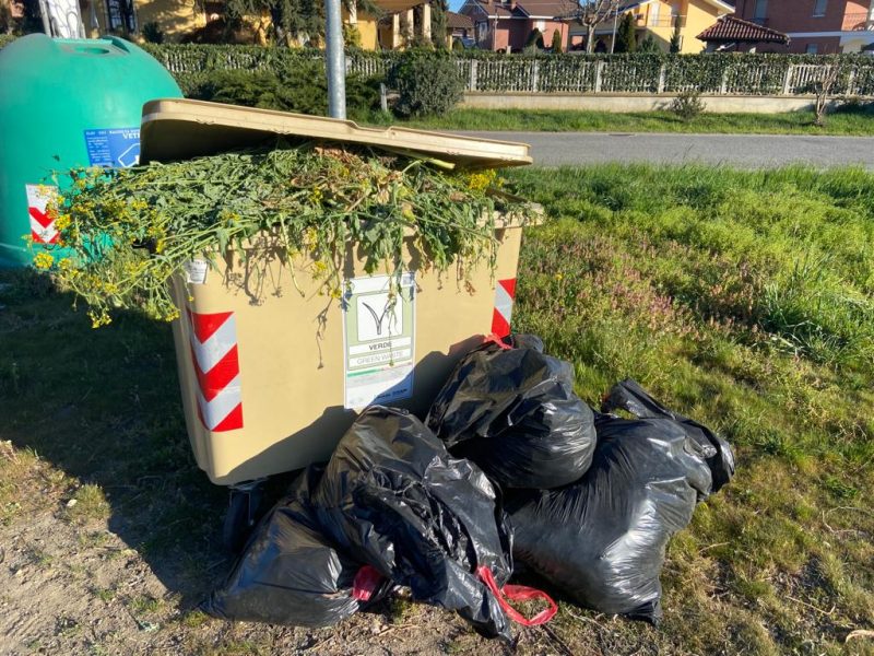 virle piemonte rimozione cassonetto sfalci potature inciviltà incuria