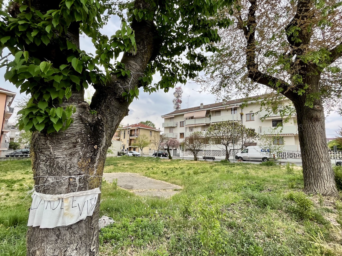 sentenza ricorso tar area verde carmagnola comitato cittadini