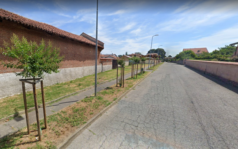 Piobesi, nuovi alberi in via Napoli per sostituire quelli rovinati dalla siccità