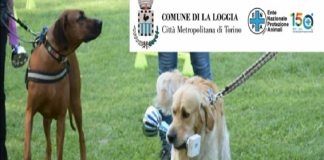 La Loggia La Scodinzolata