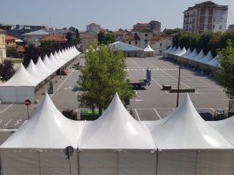 fiera del peperone carmagnola organizzatori