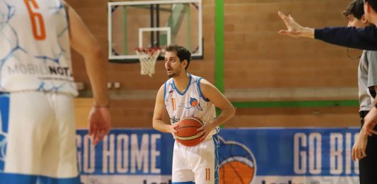 Dolphins coppa piemonte