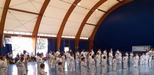 sport Vinovo