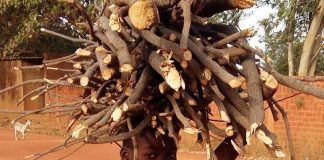carmagnola Burkina Faso