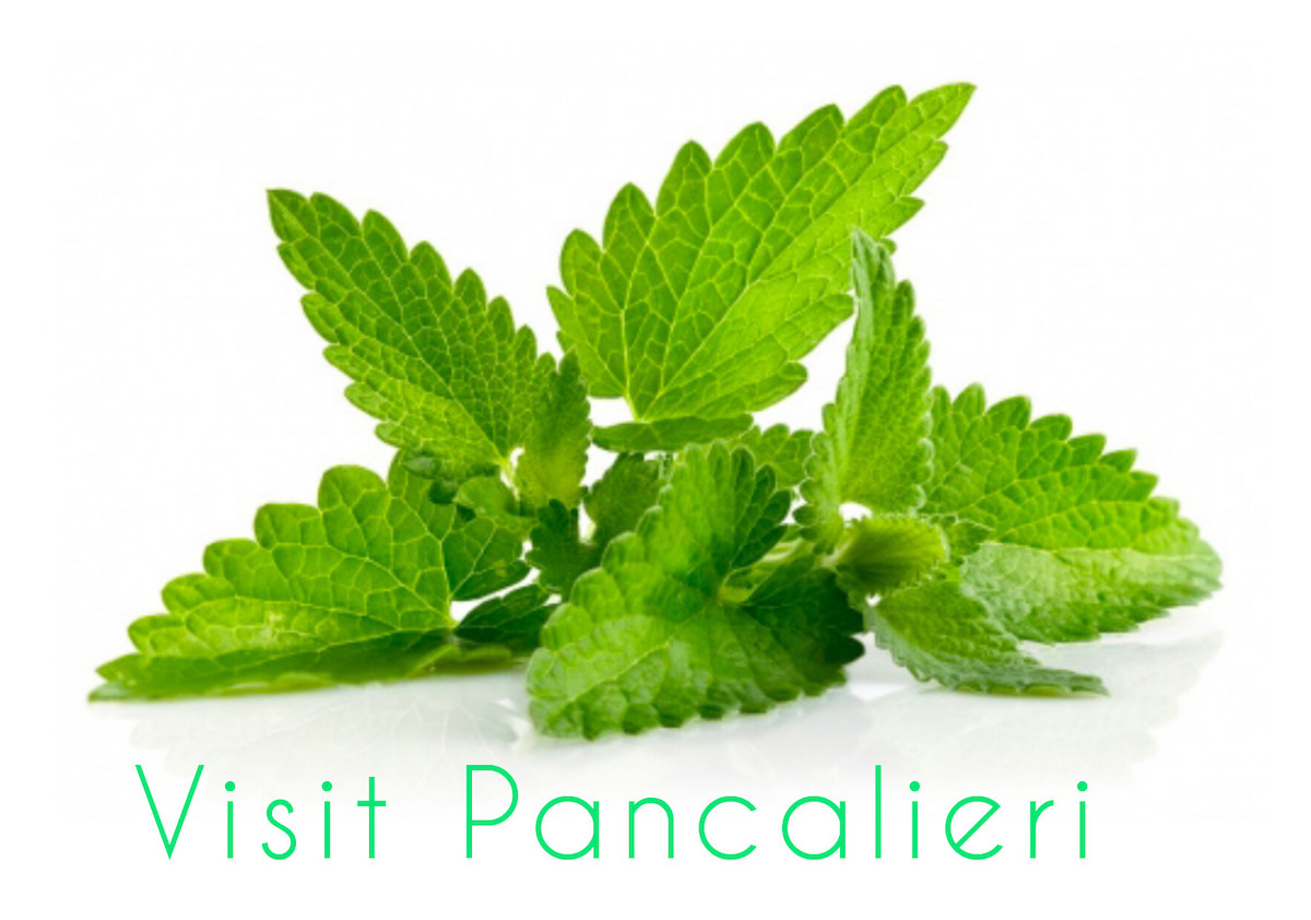 Visit Pancalieri, riferimento digitale per il paese della menta (e non solo)