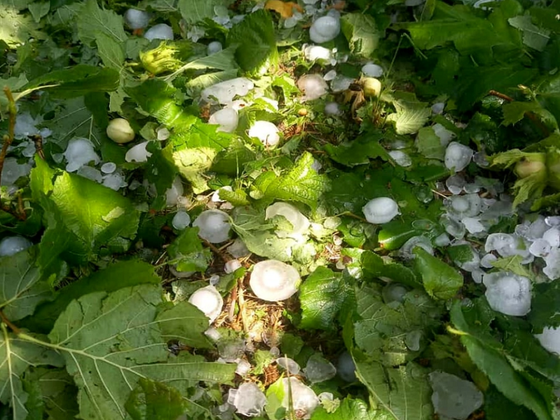 Santena colpita da una pesante grandinata: richiesto lo stato di calamità