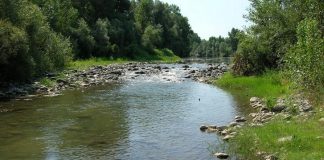 Piemonte habitat acquatici