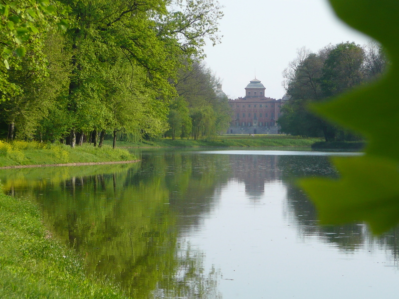 Abbattuti alberi pericolanti nel parco storico del castello di Racconigi