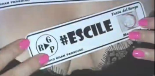 adesivi sessisti borgo Macra racconigi