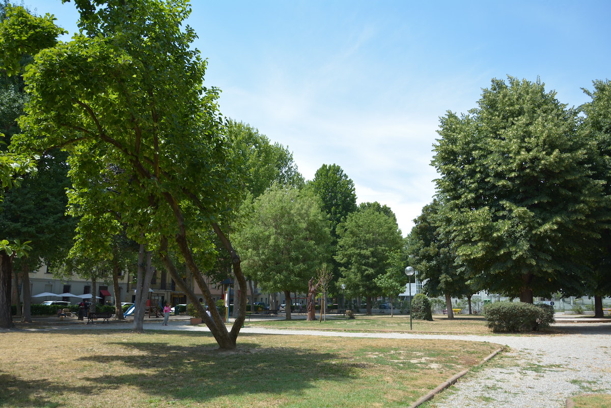 alberi a carmagnola