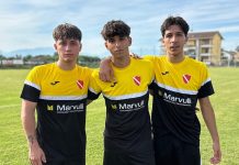 san Bernardo csf coppa