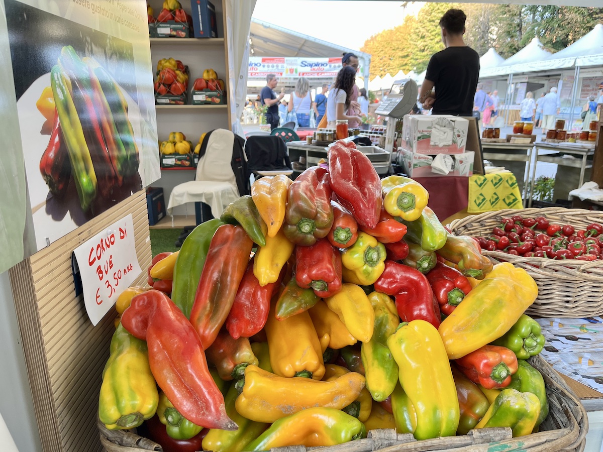 fiera del peperone carmagnola domenica