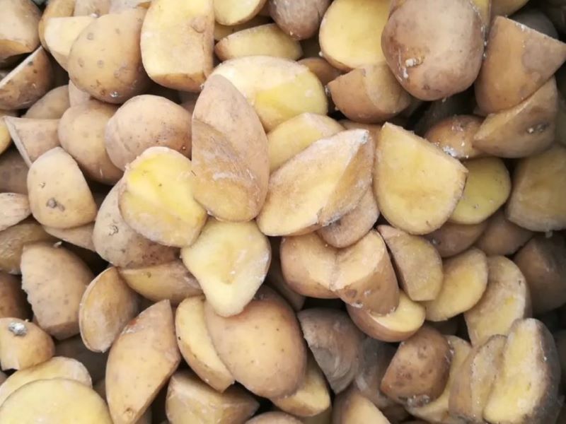 sagra patata villastellone