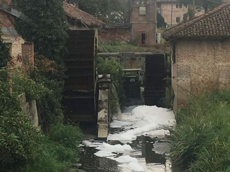 schiuma villastellone