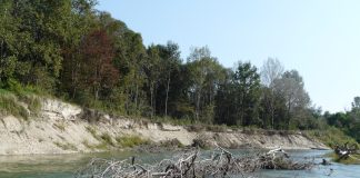 argini del po carmagnola