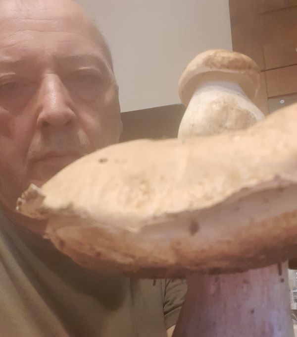 Porcino da record per il carignanese Vincenzo Marinelli