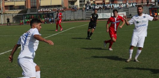 risultati squadre calcio carmagnola