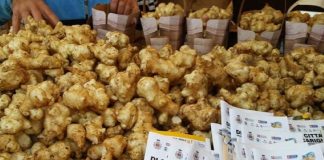 sagra ciaponabò carignano programma