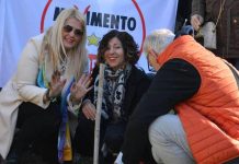 alberi movimento 5 stelle