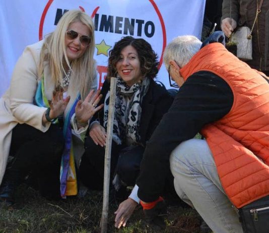 alberi movimento 5 stelle