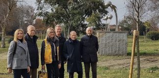lions carmagnola vigna