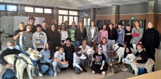 teatro bestiale