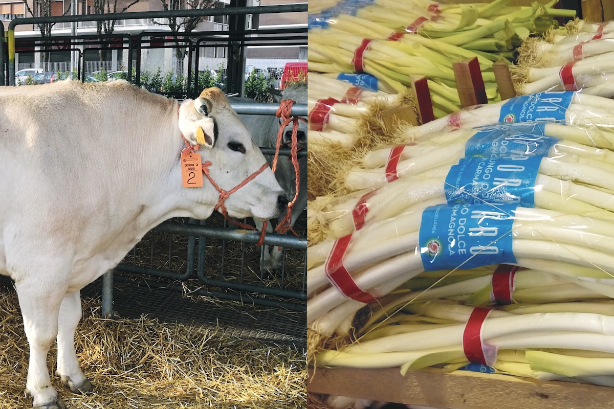 Porro e Giora: due eccellenze invernali di Carmagnola si mettono in mostra