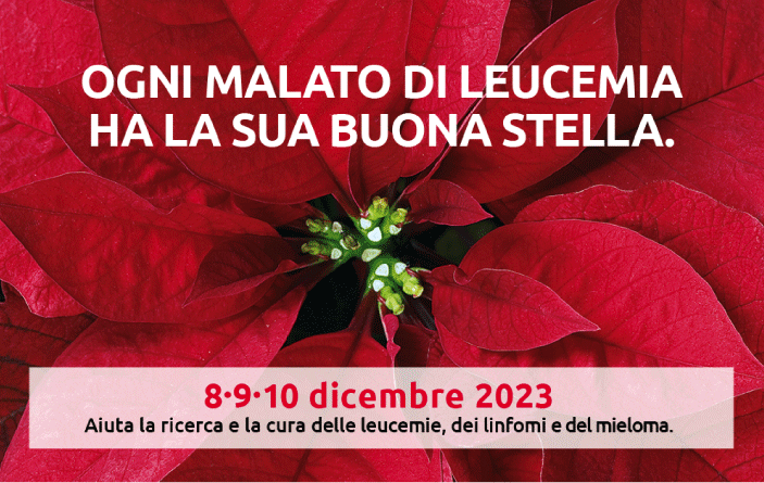 ail carmagnola