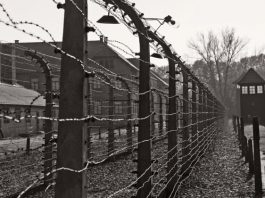 Piobesi musica Memoria