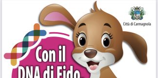 multe feci cani carmagnola dna