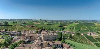 Vigne Piemonte