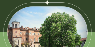 Moretta storia borgo