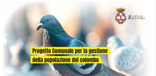 Racconigi contenimento colombo volantini