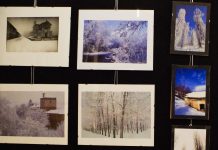 Guglielmo Bauducco mostra