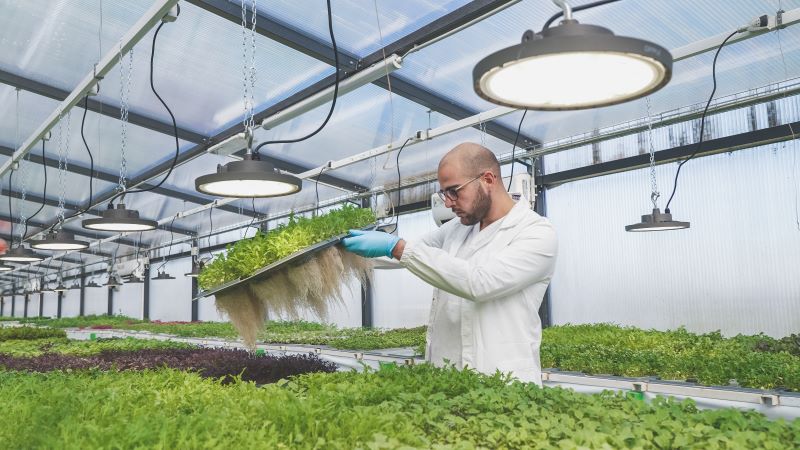 Venerdì Agricooltur aprirà le porte di Cascina Gorrea a Carignano
