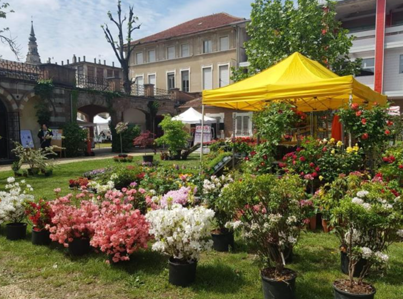 Dal 10 al 12 maggio Mostra Mercato Fiori & Vini a Carignano