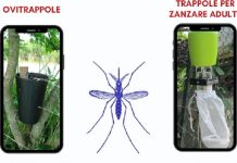 Lombriasco zanzare