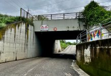 dorsale Carmagnola pd