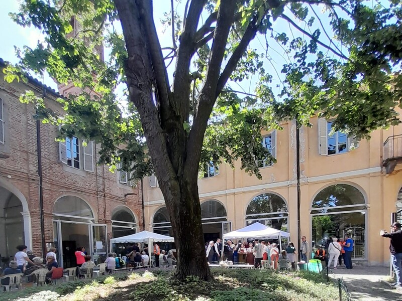 Festa del Gelso 2024