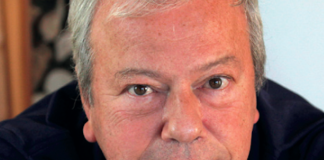 dario voltolini
