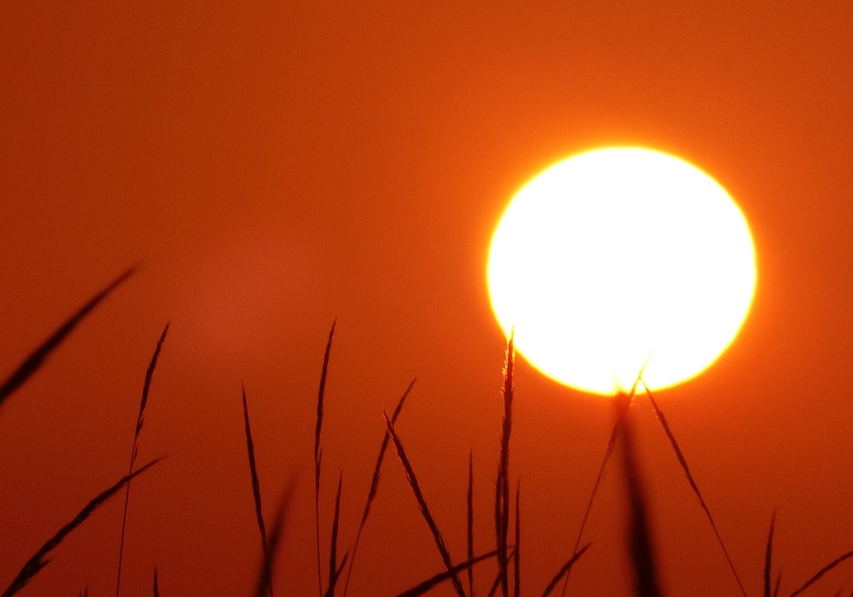 ondate di calore carmagnola caldo emergenza anziani asl to5