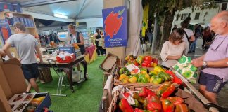fiera peperone programma giovedì