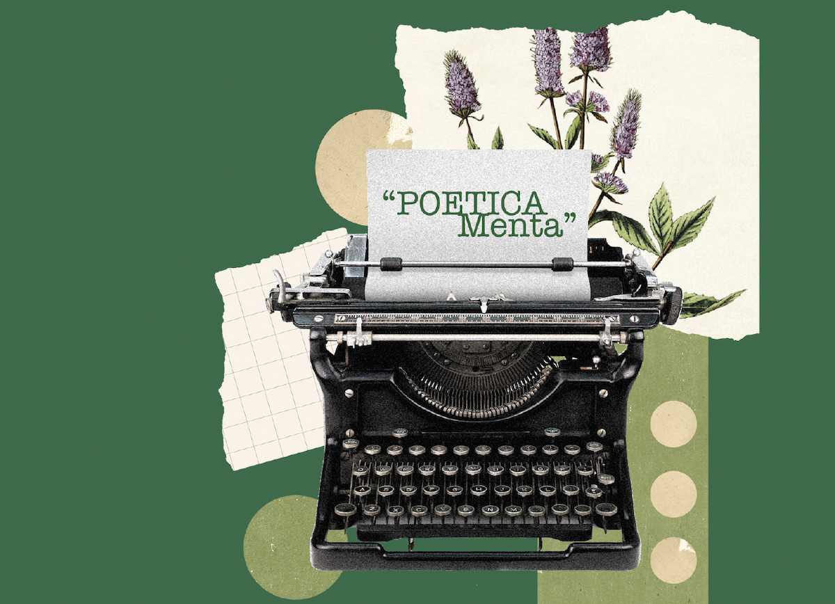 concorso scrittura menta