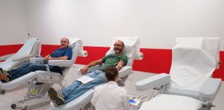 plasma carmagnola